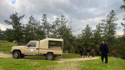 ژینگه‌ى هه‌ڵه‌بجه‌ له‌ بڕینى چه‌ند دارێكى بەته‌مه‌ن ده‌پێچێته‌وه‌