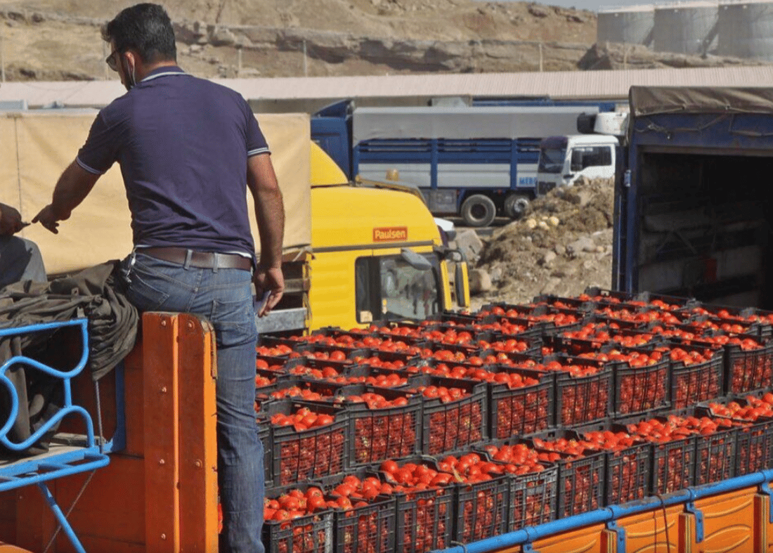 742 هەزار تۆن بەرهەمی کشتوکاڵی لەڕێی پەروێزخان و مونزەرییەوە هاوردە کراوە