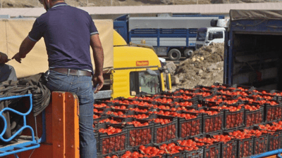 742 هەزار تۆن بەرهەمی کشتوکاڵی لەڕێی پەروێزخان و مونزەرییەوە هاوردە کراوە