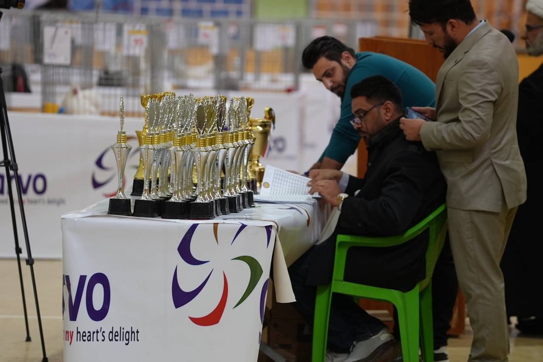 صور: دجاجة بصراوية وديك أربيلي أجمل طيرين في العراق.. مسابقة بإشراف تركي