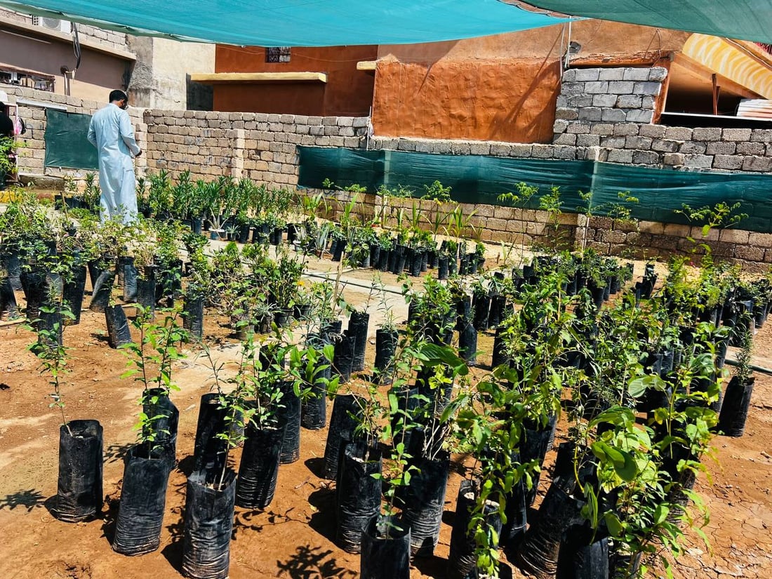 تعالوا نملأ ربيعة بالزيتون والسبحبح.. صالح يدعو لزيارة مشتله الجديد