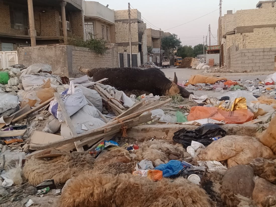صور: استغاثة من محيط “المقبرة المقرفة” في بغداد الجديدة