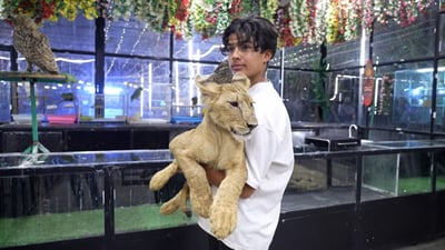 أسد الديوانية لم يفترس أحداً والنمر أتعب المنتزه وطعامه يحتاج مغامرة سفاري جريئة