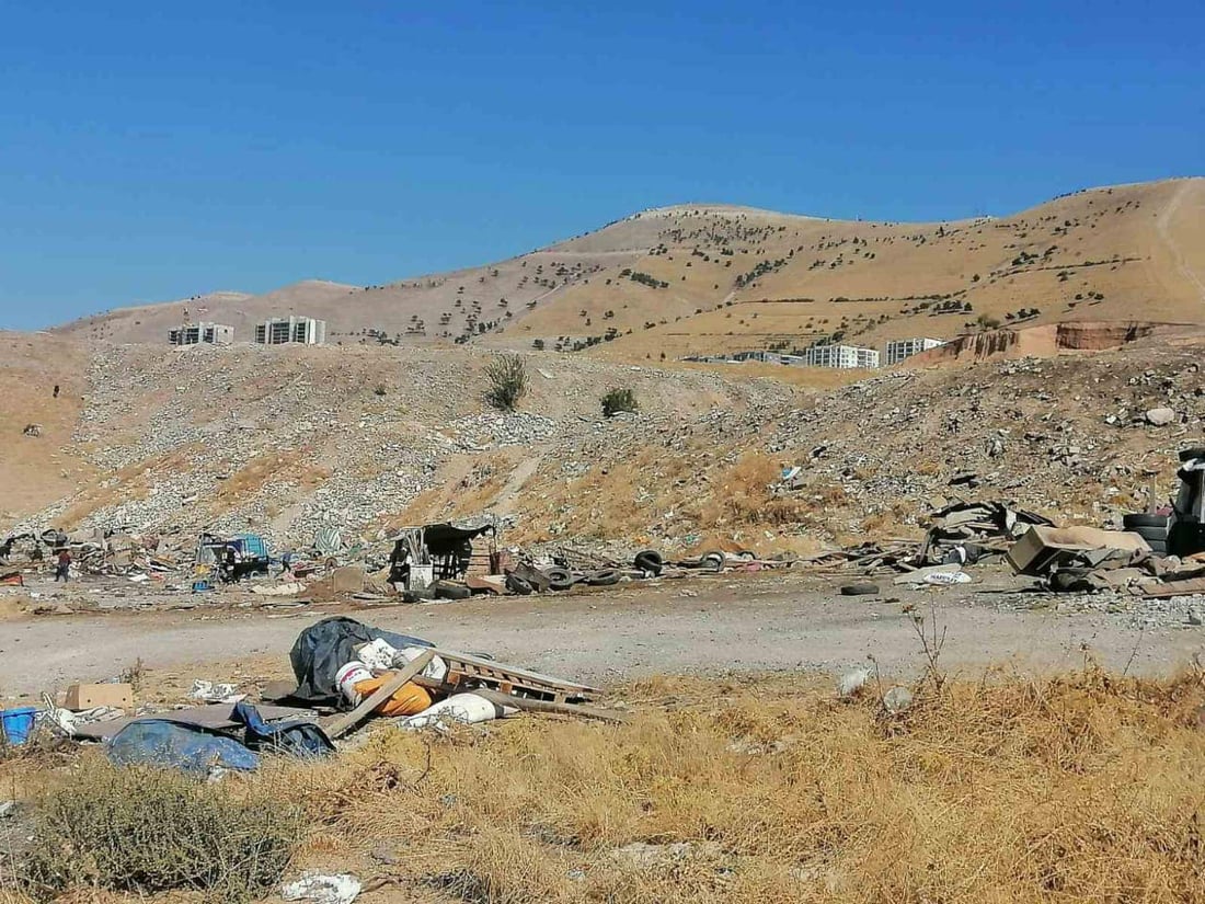 چەند گەوڕێک لە گەڕەکی کازیوەی سلێمانی لابران