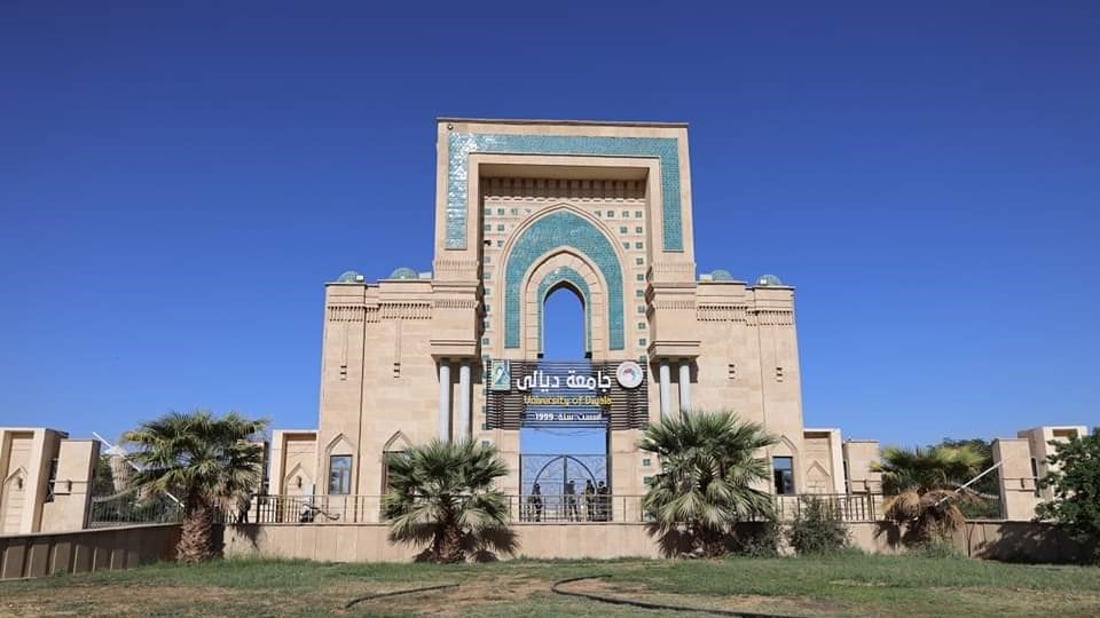 جامعة ديالى: تدريسيتان اكتشفتا مادة تقتل البكتيريا من قشور الليمون