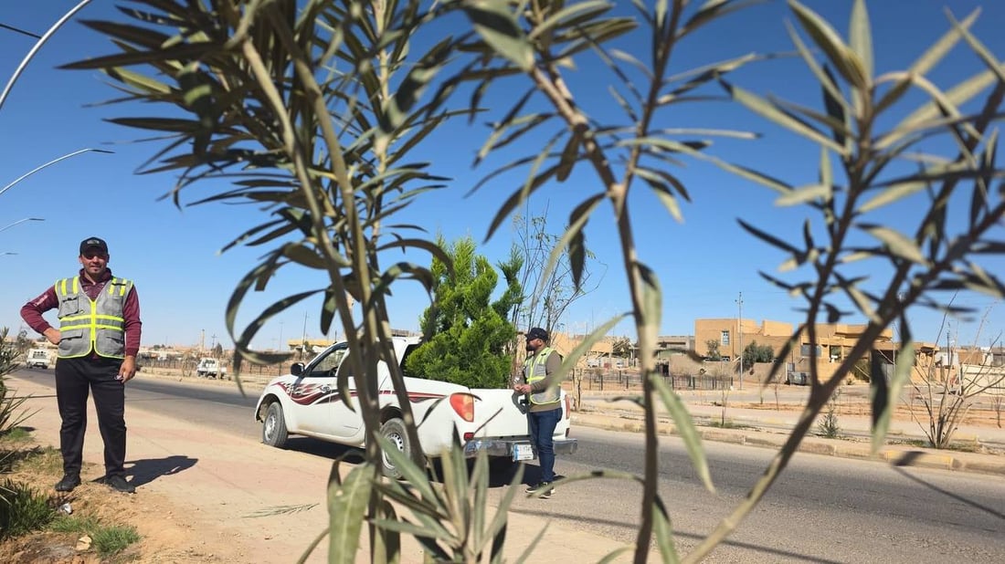 حملة التشجير الربيعية انطلقت.. صور من 8 مدن في الأنبار