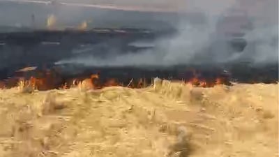 لە شارەزوور ئاگرێک کەوتەوە و بەهۆیەوە زیاتر لە 400 دۆنم زەوی سووتا