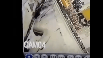 هنا ظهرت الأفعى الكبيرة.. الكوت تلاحق الثعابين في حي الحكيم وجواره