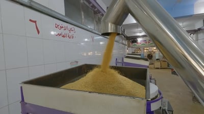 راشي بعشيقة وصل إلى ألمانيا والسعودية.. فيديو من داخل معمل الأخوين الشهير