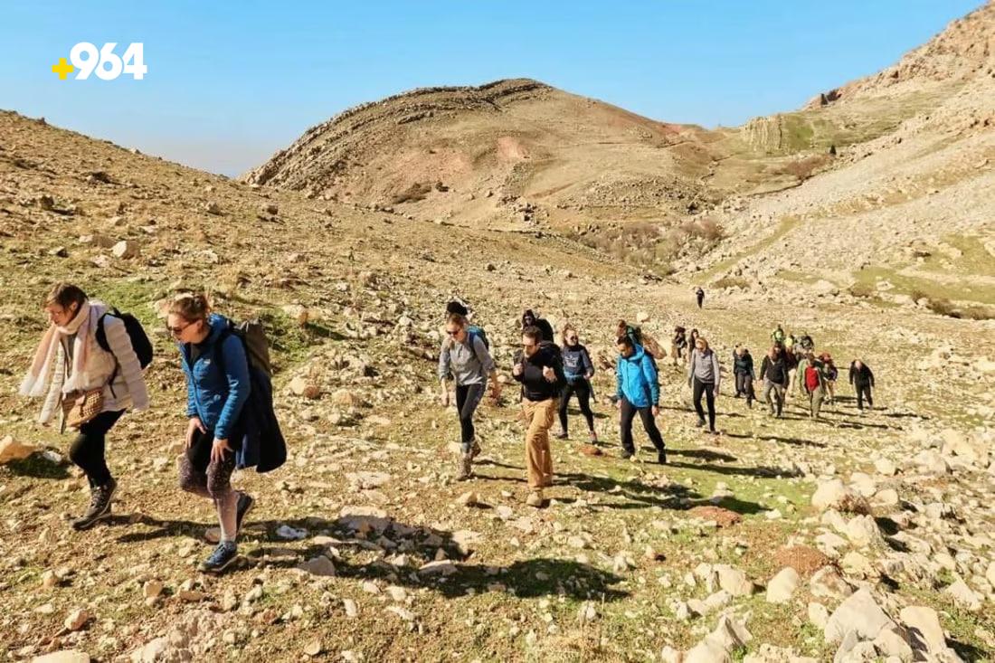 964mediaصورة من منصة (شبكة): 