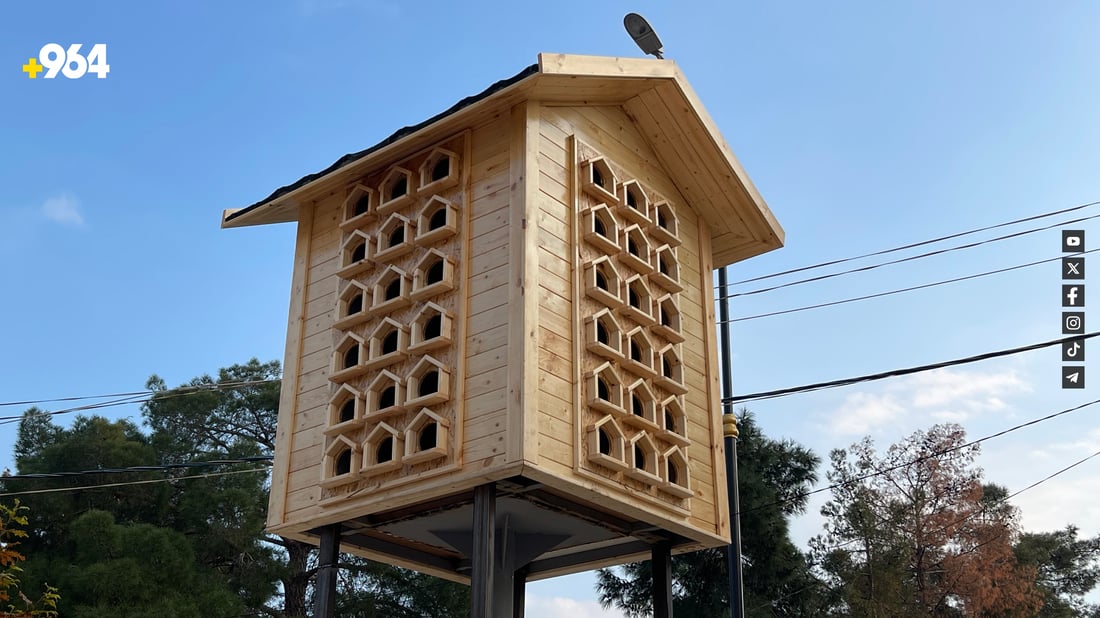 لە رانیە ماڵە دارینە بۆ باڵندەکان دروستکرا