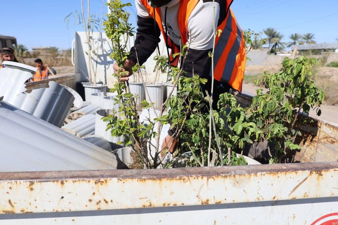 حملة التشجير الربيعية انطلقت.. صور من 8 مدن في الأنبار