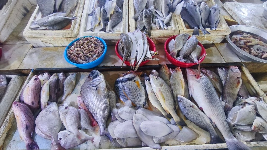 صور من مرسى الفاو: البحارة عادوا بأطنان من البياح والنويبي والروبيان