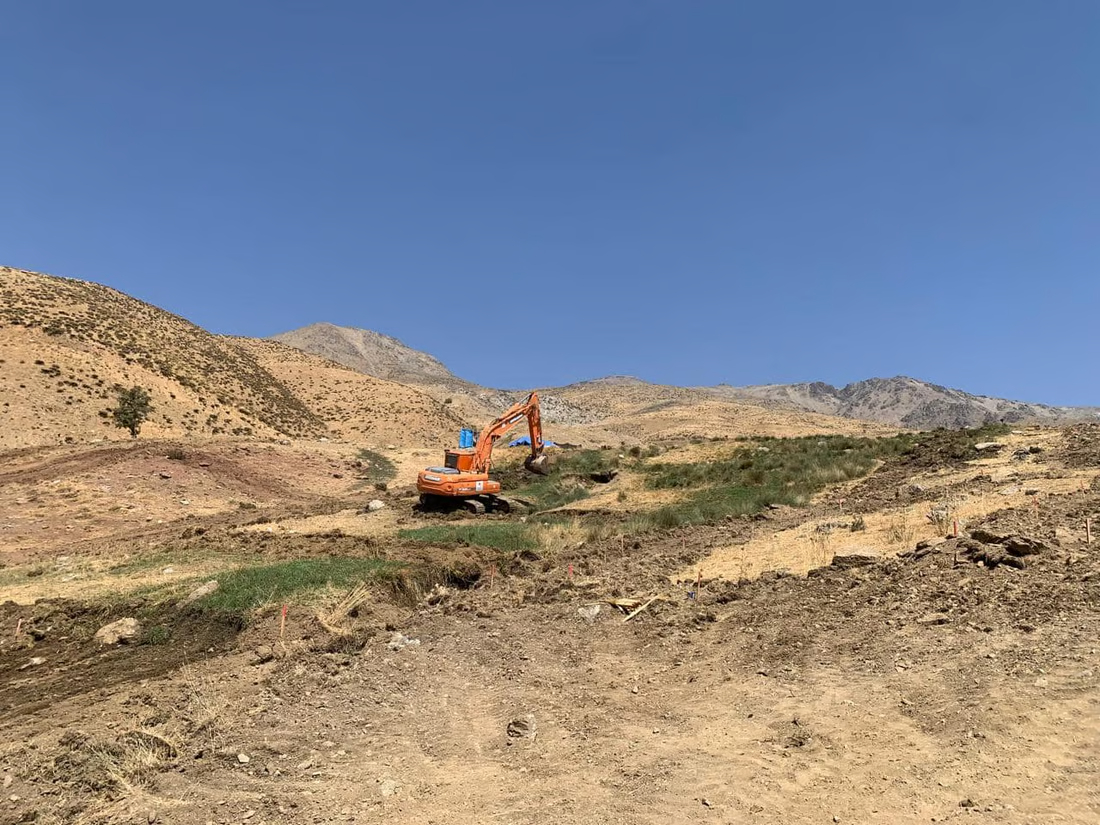 964mediaصورة من منصة (شبكة): 