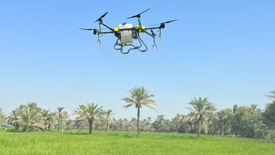 “درون” لرش السماد فوق حقول العنبر.. “فاو” تساعد فلاحي النجف على تقليل الكلفة