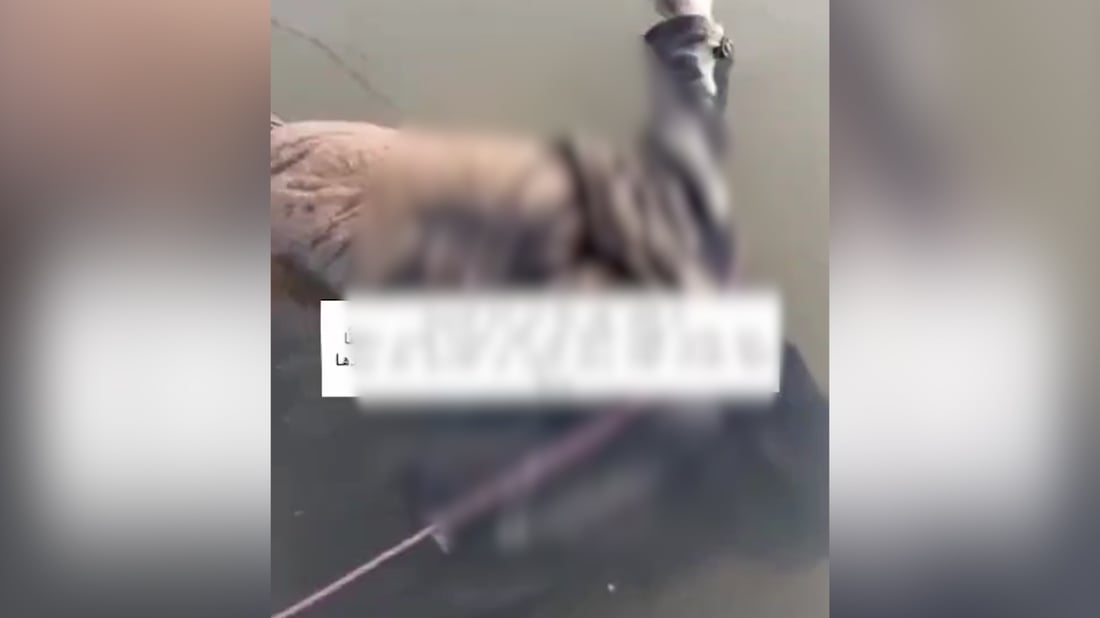 الصويرة.. صياد سمك يعثر على جثة طافية في نهر دجلة