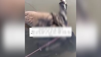 الصويرة.. صياد سمك يعثر على جثة طافية في نهر دجلة