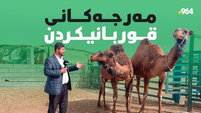 جەژنی قوربان نزیكە و قوربانیكردن و دابەشكردنی گۆشتی خێر دەستپێدەكات