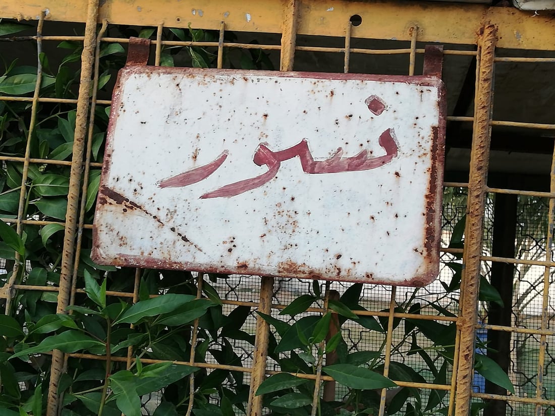 صور: “الذئاب”.. حديقة حيوانات مصغرة شرق بغداد بحاجة إلى بعض الدعم والتطوير