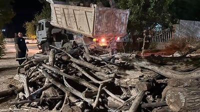 چوار تۆمەتبار لە خورماڵ بە تۆمەتی راوکردن و بڕینەوەی دار دەستگیرکران