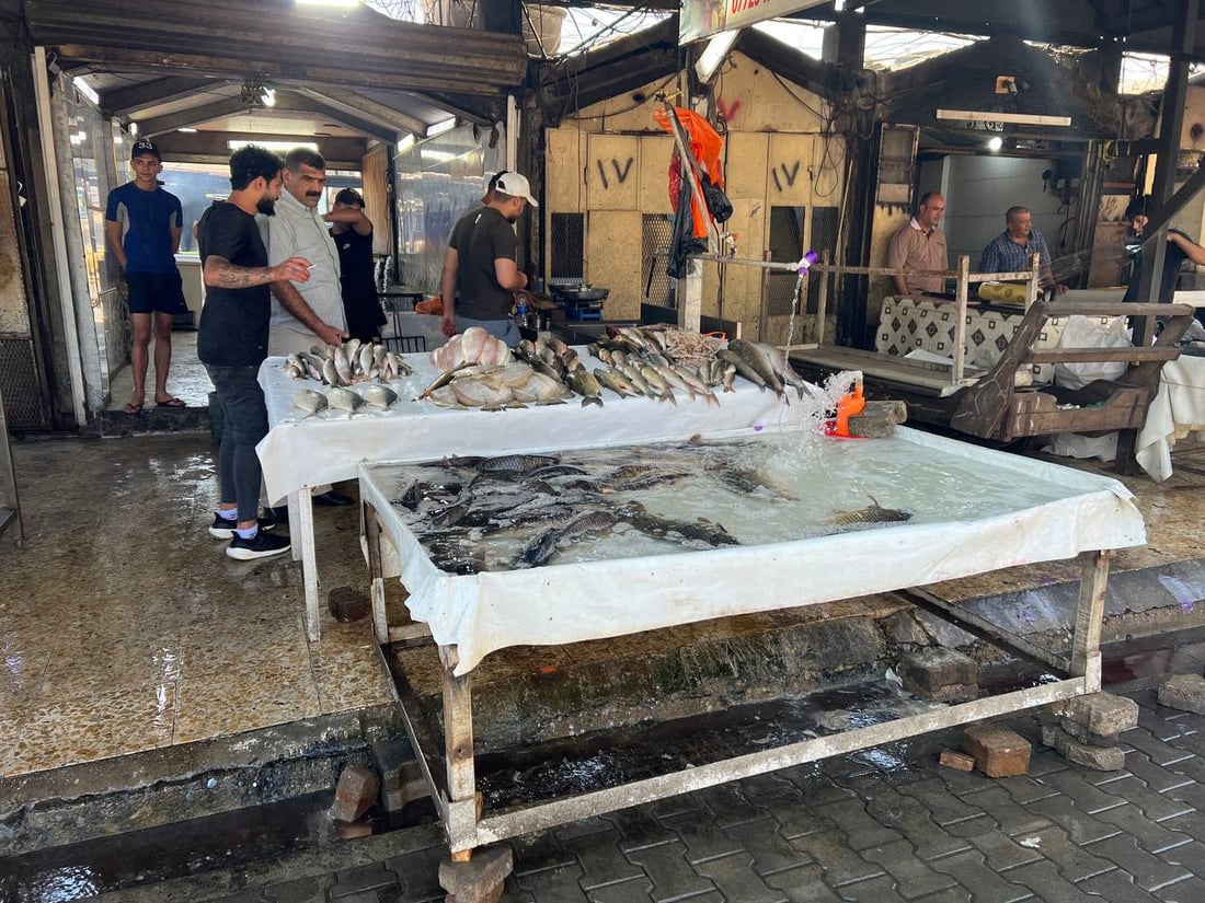 سوق الشوّاكة: الأربعاء مخصص لأكل السمك عند البغداديين وهذه أسعار البني والكارب (صور)