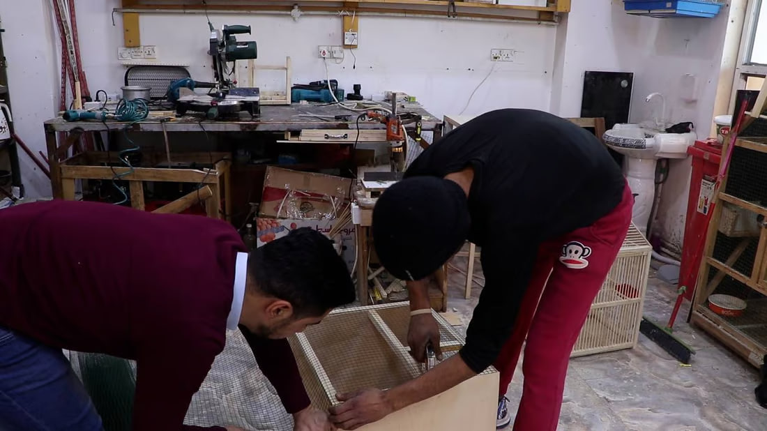 Al-Kut bird sellers innovate with bespoke bird cages