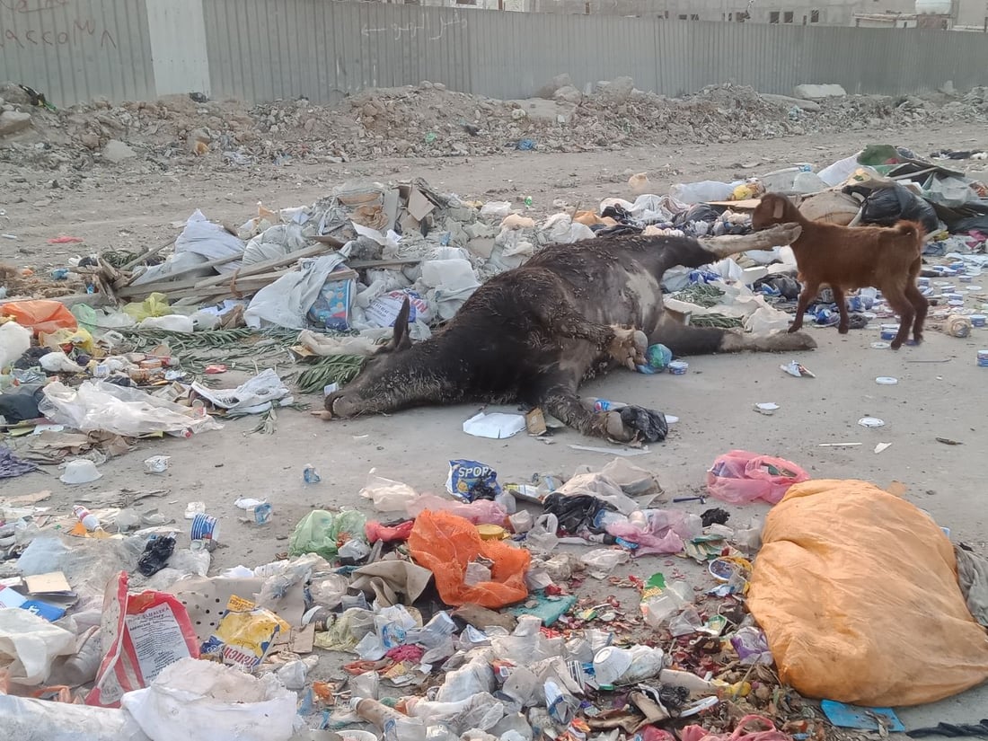 صور: استغاثة من محيط “المقبرة المقرفة” في بغداد الجديدة