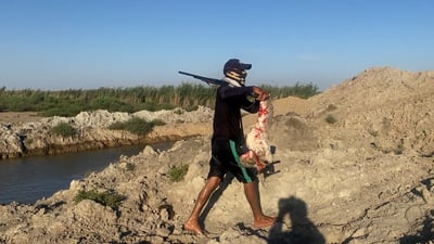 مشاهد قاسية جداً من ميسان.. هل صيد هذه الطيور هواية مشروعة أم وحشية؟