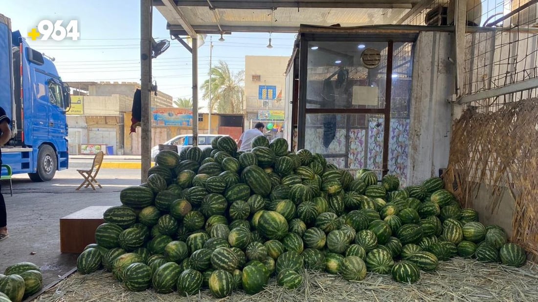 البصرة: الرگي في صحراء “اللحيس” النفطية هو “الأشهى والأغلى” حين ينقطع محصول العراق