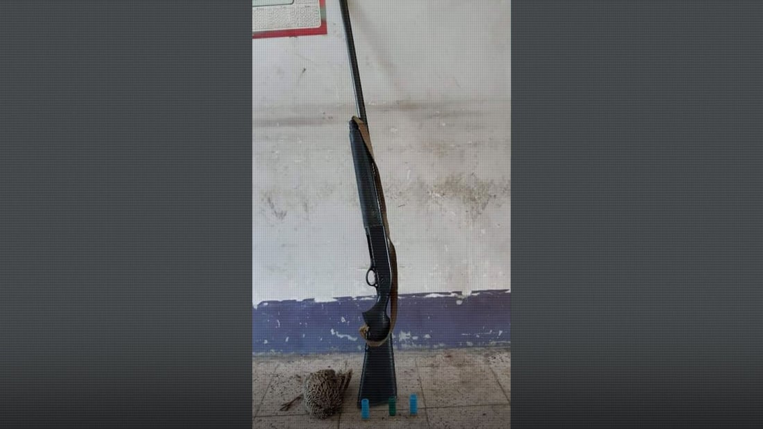 لە بەرزنجە راوچییەک دەستگیر کرا