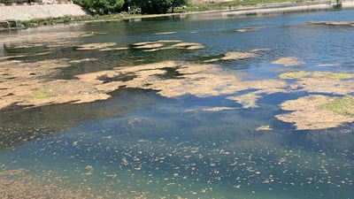 قەوزە تەنگی بە بەنداوەکەی سەروچاوە هەڵچنیوە