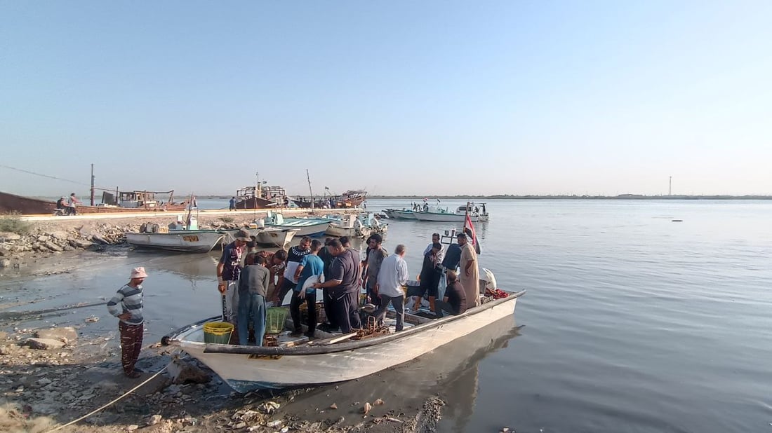 صور: عواصف “البارح” انتهت والأسماك عادت إلى الفاو.. 500 كغم زبيدي