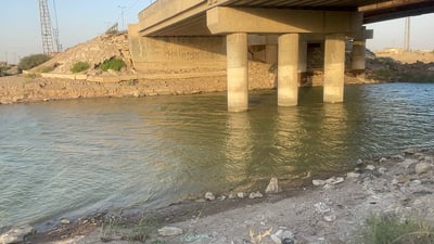 صور اليوم من نهر العز: لم يعد يعتمد على ميسان بل الفرات.. والأسماك سالمة