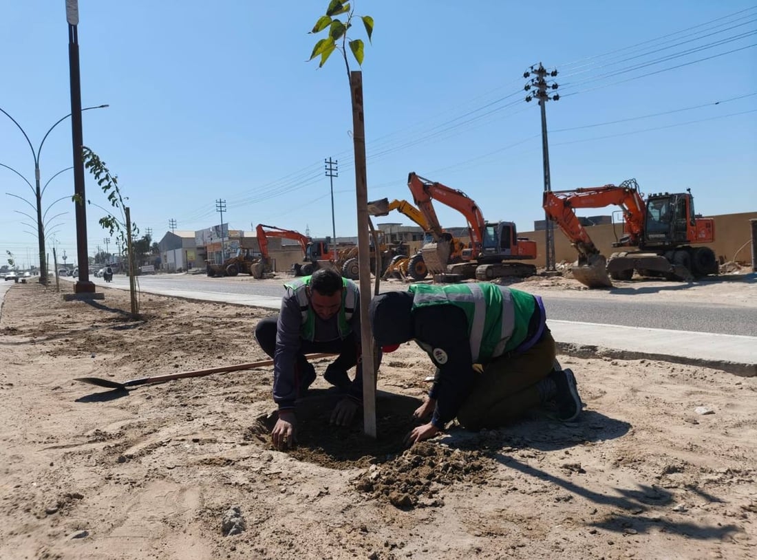 حملة التشجير الربيعية انطلقت.. صور من 8 مدن في الأنبار