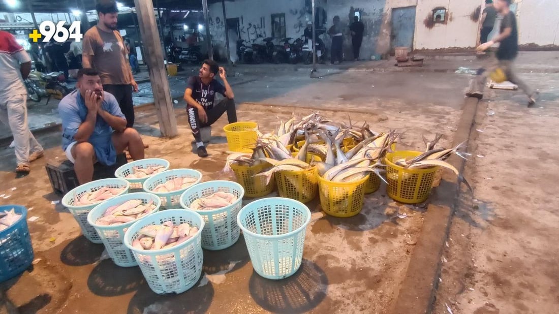 صور من مرسى النقعة.. قائمة بأسعار السمك في مزاد الفاو صبيحة الخميس