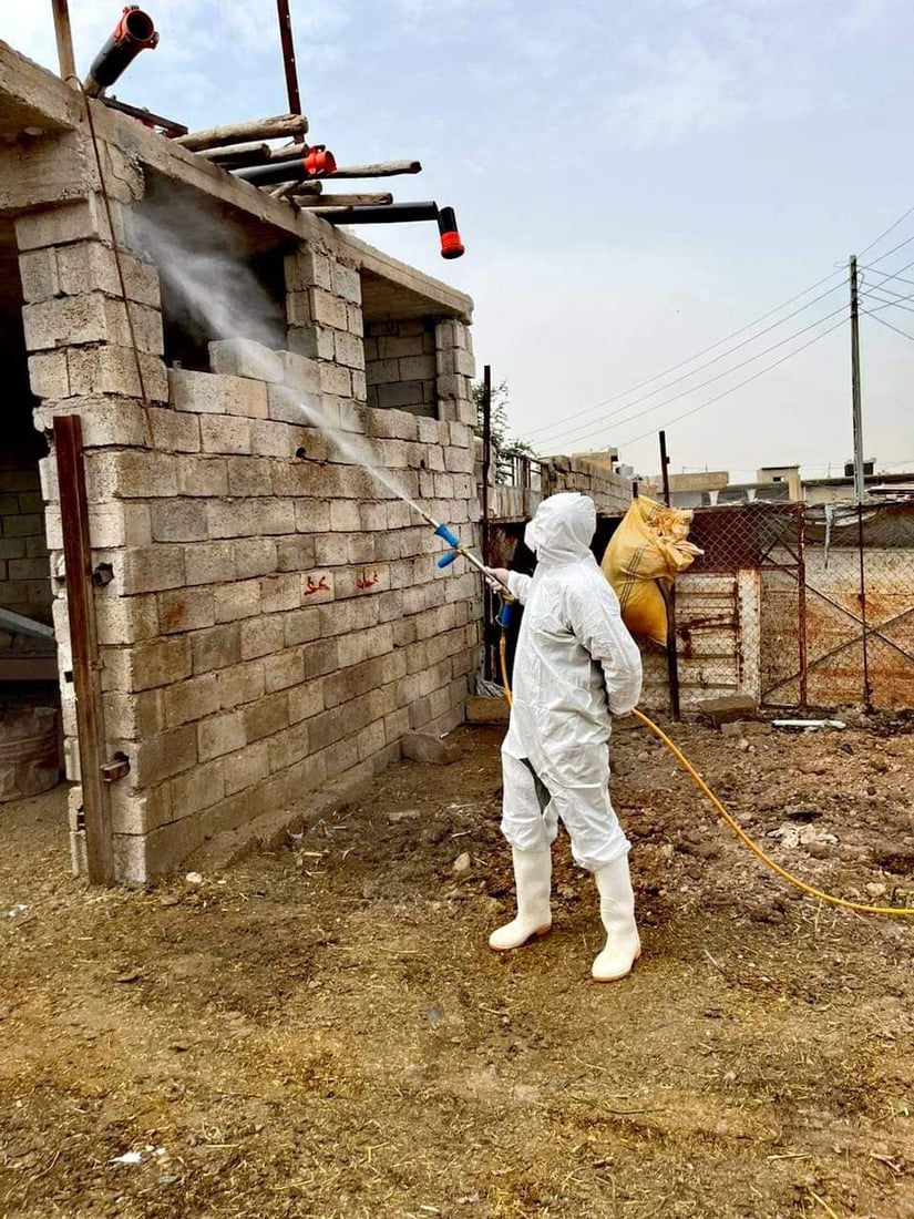 خورماتوور هه‌ڵمه‌تێكی ده‌ستپێكردووه‌ بۆ سەلامەتی ئاژه‌ڵ و باڵنده‌ و مرۆڤه‌كان