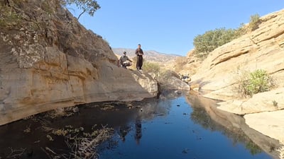 داپۆشینى پاشماوه‌ى سوته‌مه‌نیه‌ رژاوه‌كه‌ى خه‌لەكان راگیراوه‌ و سبه‌ى ئه‌نجامى پشكنینه‌كه‌ى ده‌رده‌چێت