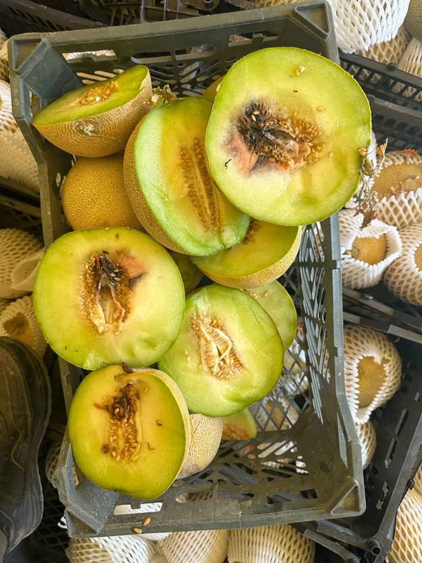 Authorities in Halabja seize spoiled meat and nearly nine tons of muskmelon