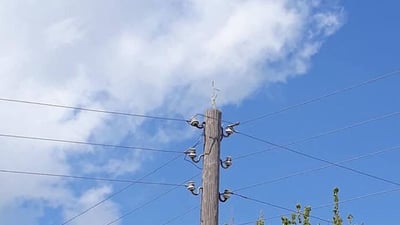 خراپی کارەبای نیشتیمانی بەشێک لە گوندەکانی ناحیەی ئاغجەلەری بێ حاڵ کردووە