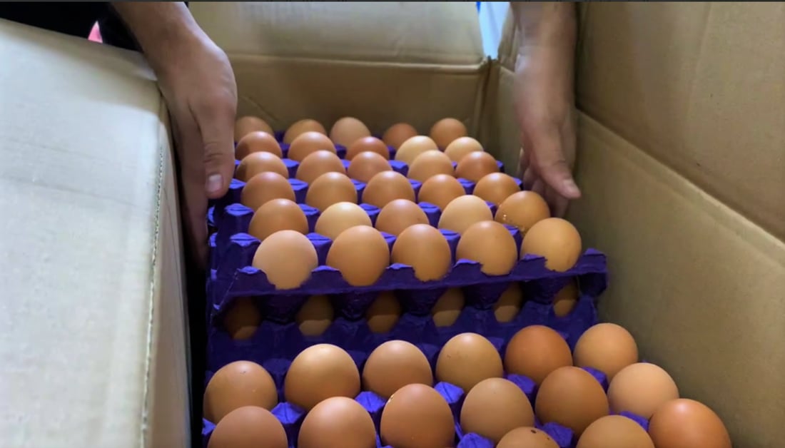 Agriculture Ministry says winter demand behind ‘temporary’ rise in egg prices