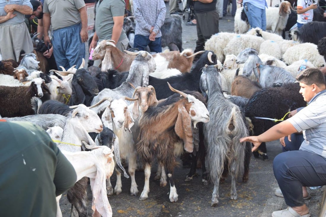 شارەوانی هەولێر بەتەمایە بازاڕی ناو پردی سەیداوە رێکبخاتەوە