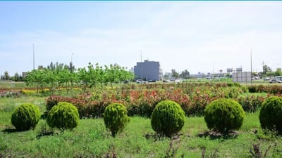 Kurdistan Region imposes green space quota in construction projects
