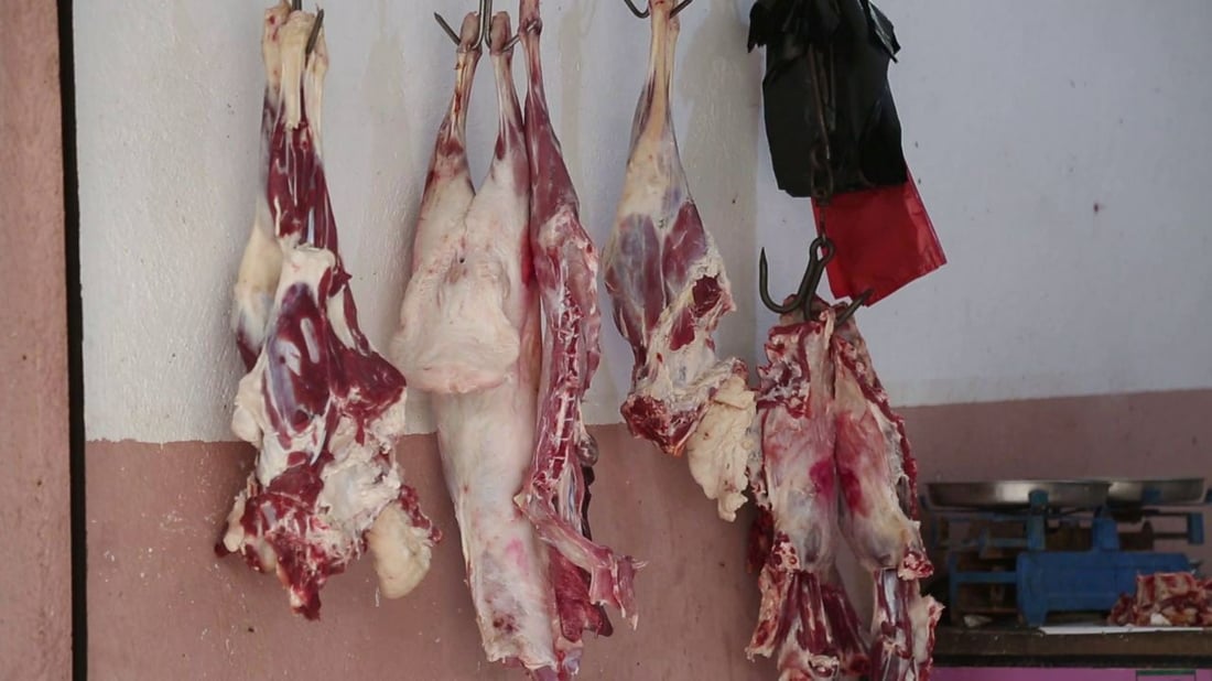 المثنى: انتقال الرعاة الى البادية ساهم في رفع سعر اللحم.. قفز إلى 18 الف دينار