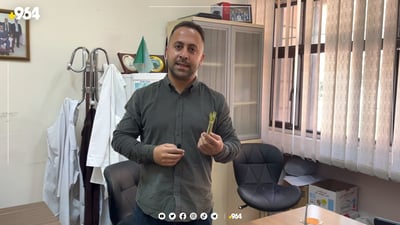 لاسکی گەڵای رێواس لە بازاڕەکان دەفرۆشرێت و مەترسی بۆ گورچیلە هەیە