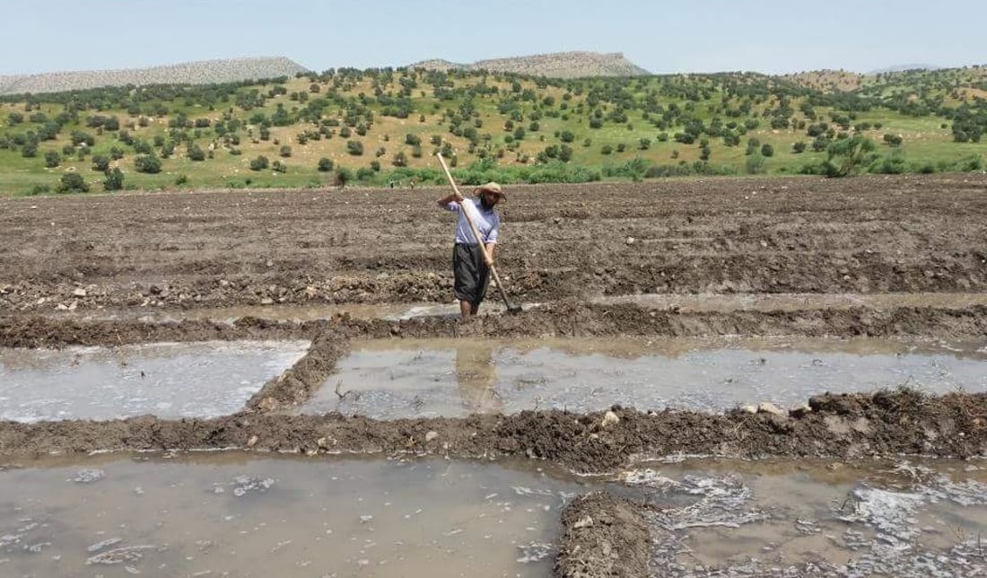 تەلی کارەبای بۆ بەراز دانابوو بەڵام  خۆی گرت و گیانی لەدەست دا