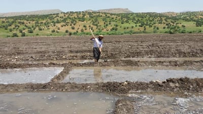 تەلی کارەبای بۆ بەراز دانابوو بەڵام  خۆی گرت و گیانی لەدەست دا