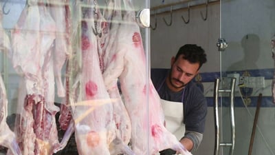 المثنى: انتقال الرعاة الى البادية ساهم في رفع سعر اللحم.. قفز إلى 18 الف دينار