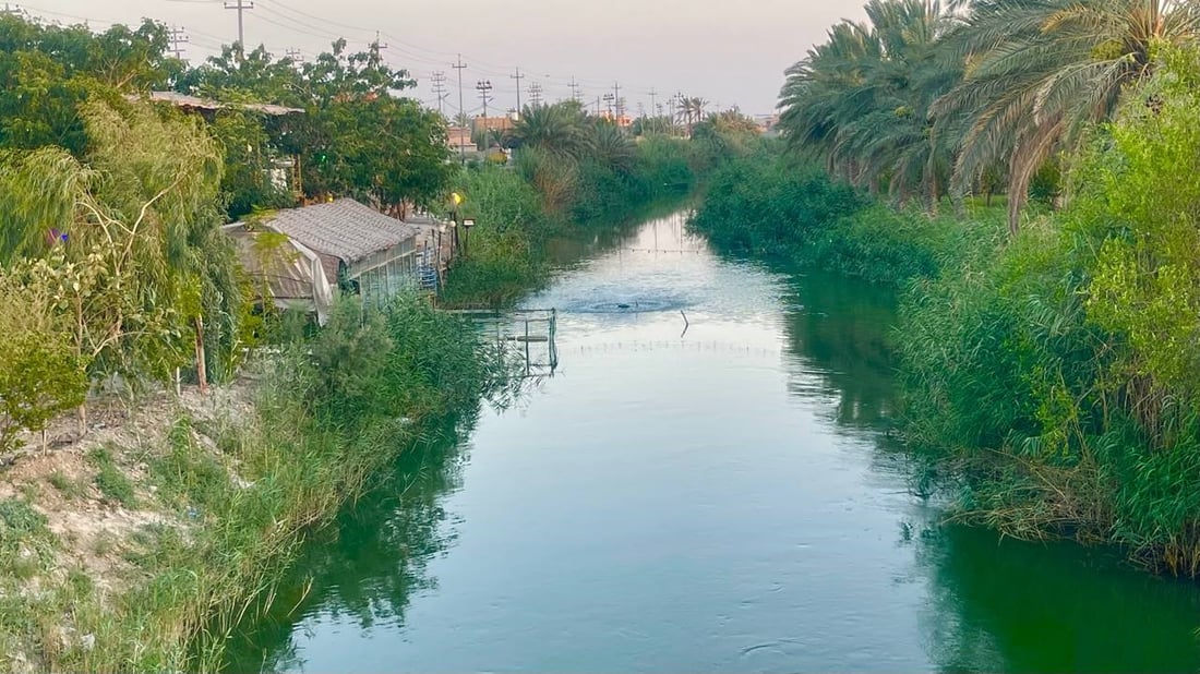 صور من روعة الطبيعة شمال البصرة.. السفرات تبدأ إلى نهر الداير مع برودة الطقس