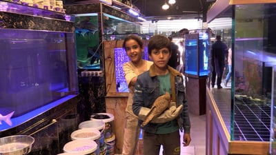 سوق الغزل في بغداد.. السلاحف والصقور للفتيات.. و”القرش المتوحش” مفضل عند الزبائن (فيديو)