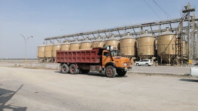 بابل تعلن الاكتفاء الذاتي.. حصاد الحنطة فوق الخطة وأموال الفلاحين خلال 72 ساعة